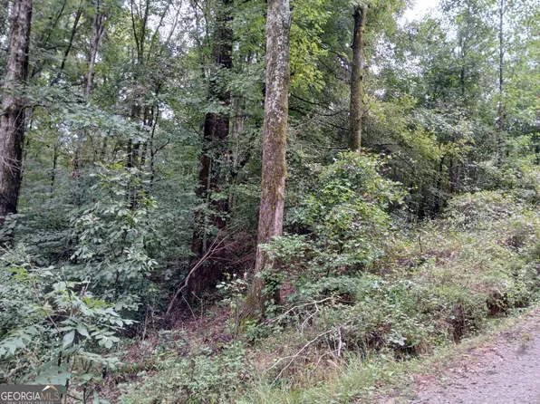 0 Cherry Cir, Lexington, GA 30648
