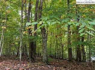 Tbd Carefree Cove Rd, Zionville, NC 28698