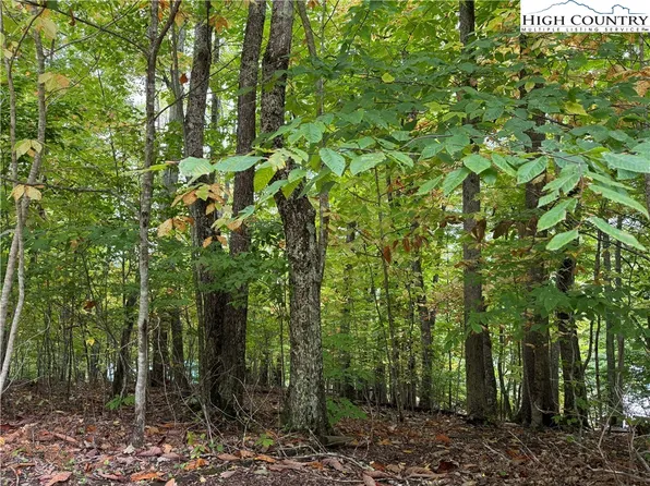 TBD Carefree Cove Road, Zionville, NC 28698