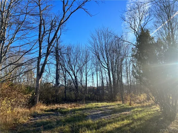 Eisenhower Ave #3, Angola, NY 14006