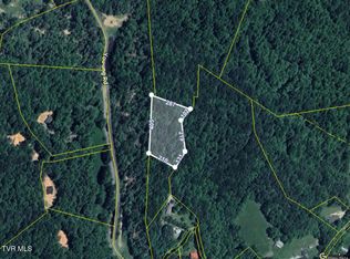 Holly Hill Dr, Unicoi, TN 37692