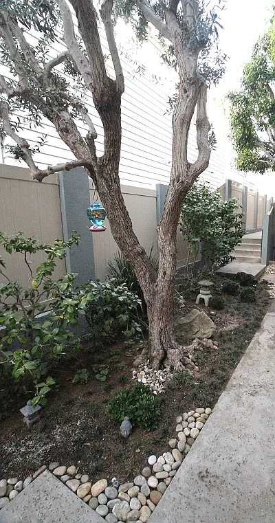 1 bed, 850 sqft, $2,995 — Photo 2
