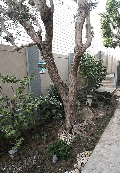 720 S Elvira Ave #311Q — Photo 2