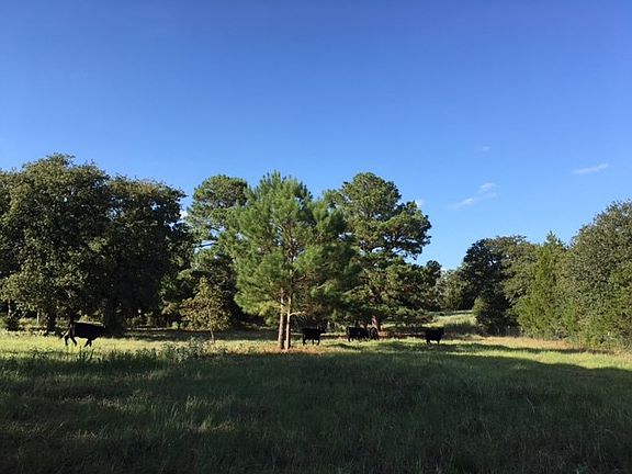 4th image of 306 Fm 713