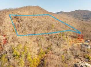 99999 Village Overlook Loop, Swannanoa, NC 28778