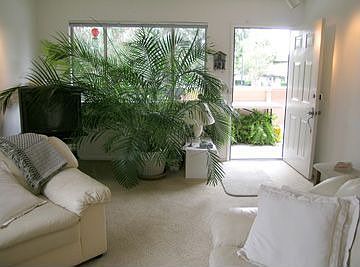 Bright End Unit Penthouse Condo with Private Gated Deck