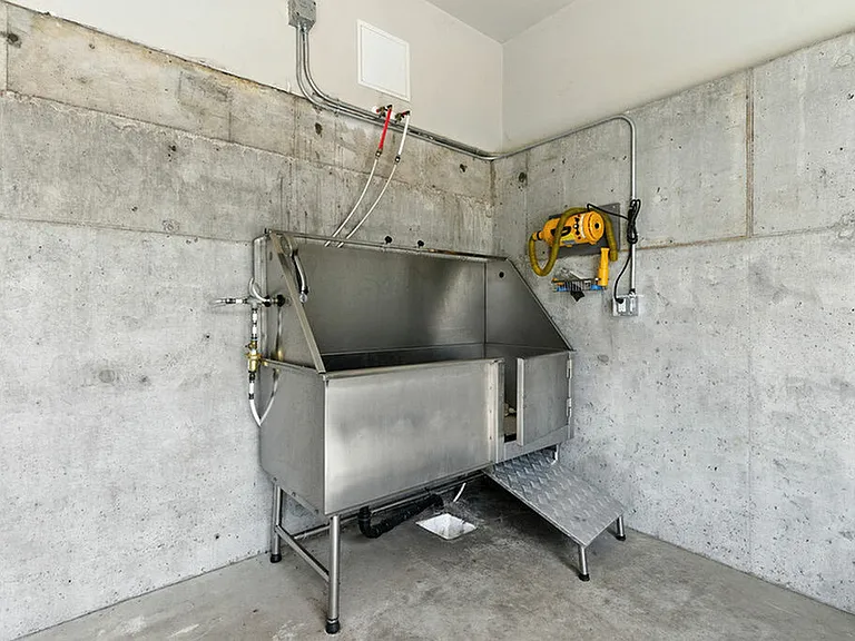 Pet Washing Station