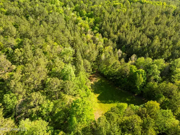 0 Pine Level Rd, Leakesville, MS 39451