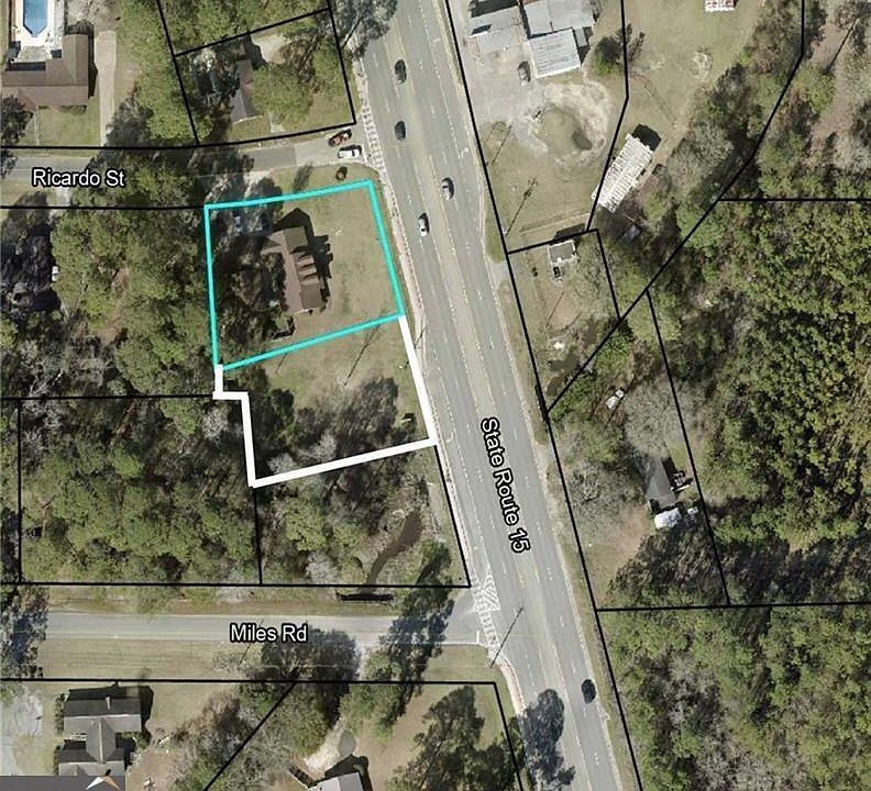 1114 Blackshear Highway & Vacant Flt, Baxley, GA 31513 MLS 10221653