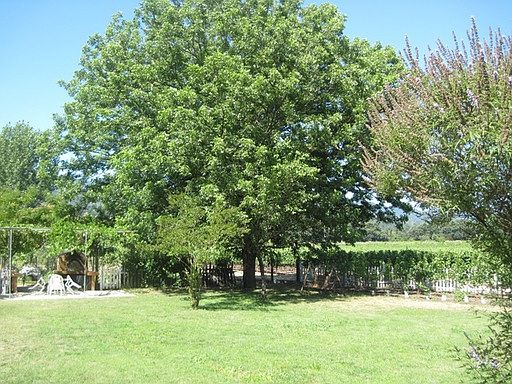 3rd image of 1679 Saint Helena Hwy