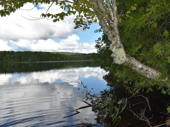 Lot 17 Town Farm Road, Lincoln, ME 04457