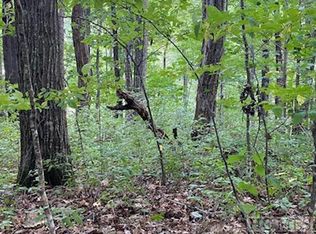 73 Narrows Rd, Sapphire, NC 28774