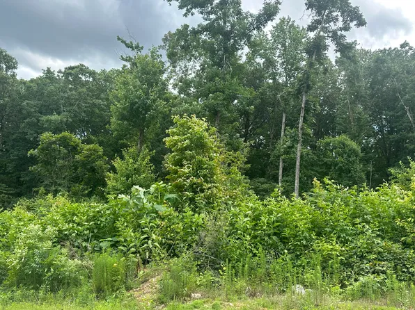 129 County Road 155, Riceville, TN 37370