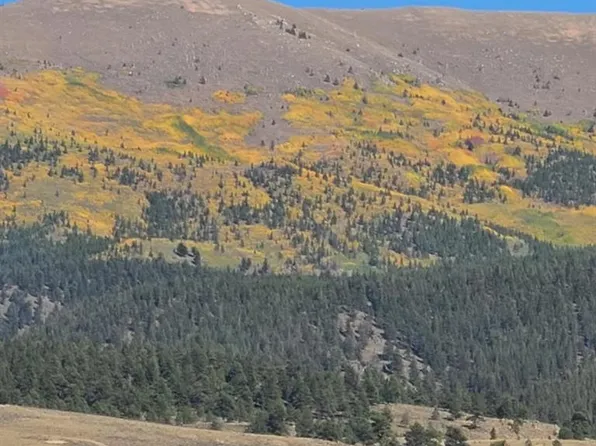 Prcl #13, Twin Lakes, CO 81251