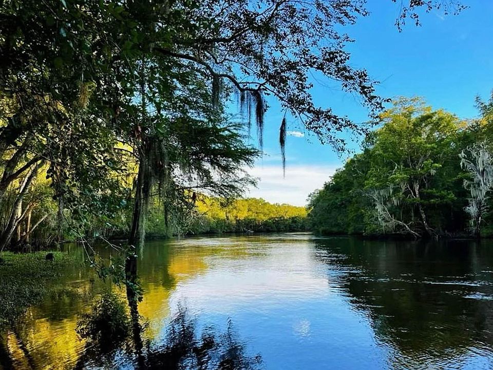 7439 Parkers Ferry Rd Adams Run, SC, 29426 Apartments for Rent Zillow