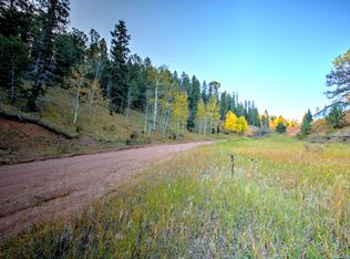 493 Willow Rd, Divide, CO 80814