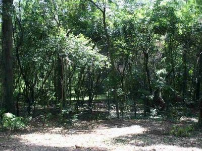 0 Rhoden Cove Rd, Tallahassee, FL, 32312