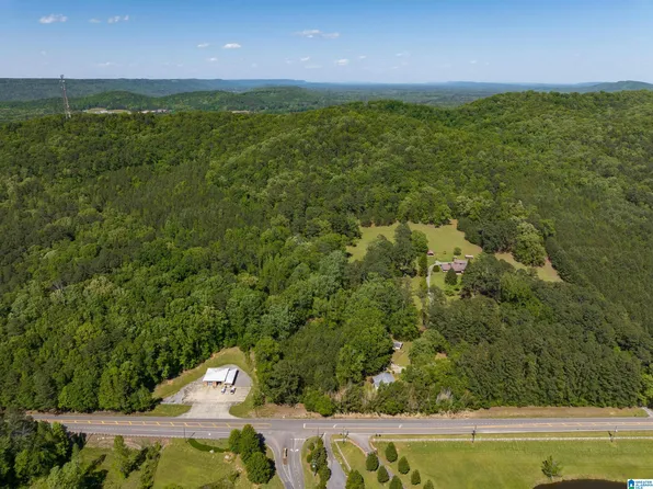 1649 State Highway 174 #0, Springville, AL 35146