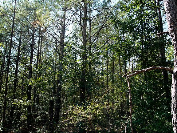 5th image of County Road 88