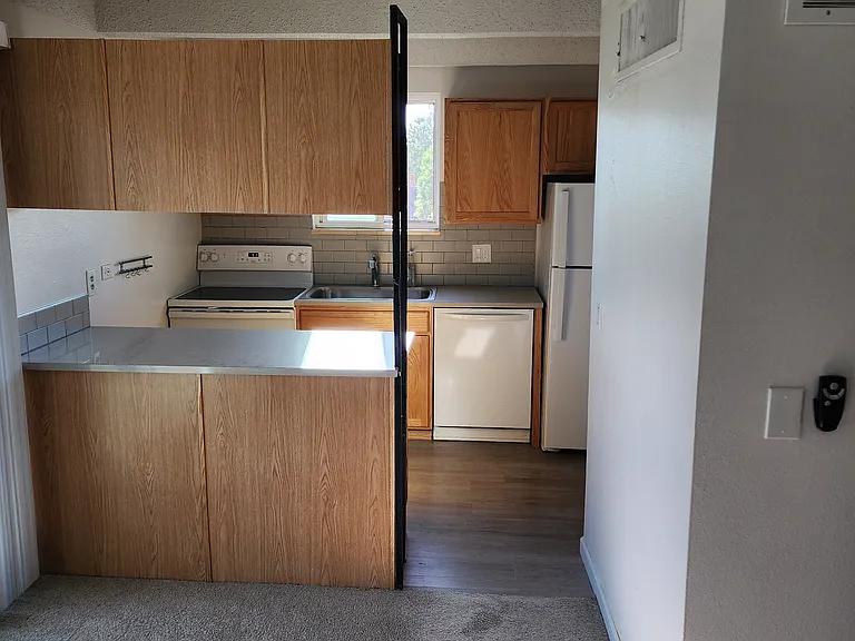 1265 N Race St #409 — Photo 6