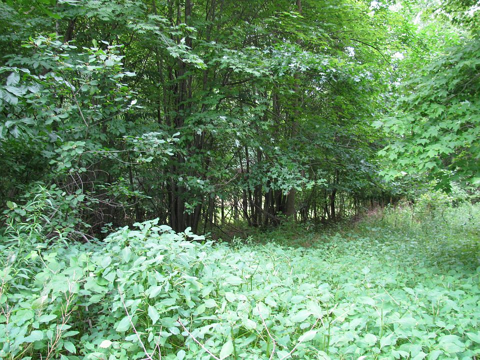 1st image of 000 Scott Dr