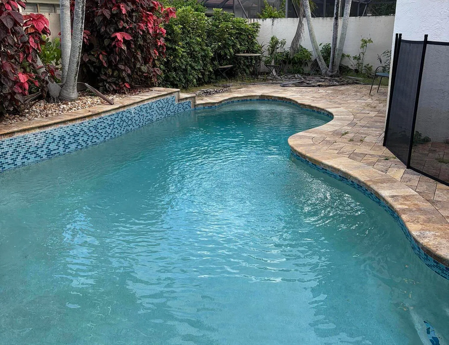 3 bed, 2.0 bath, 1577 sqft, $4,350 — Photo 3