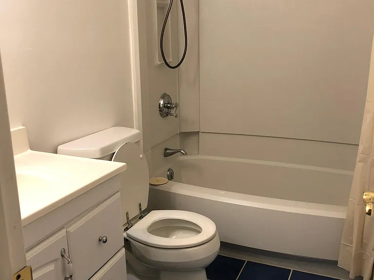 Hallway bathroom
