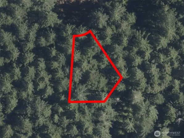 12914 E 101st Street Ct, Anderson Island, WA 98303