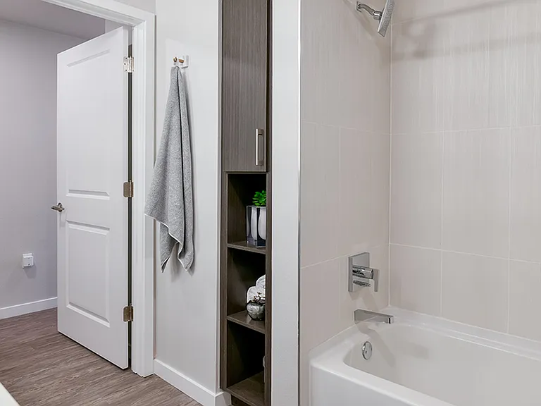 Custom built-in shelves