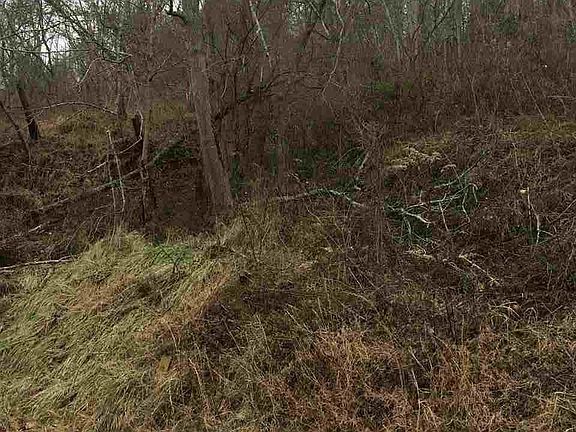 5th image of 1953 State Route 775