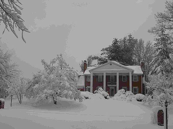 Winter Beauty