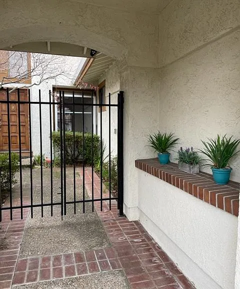 335 Live Oak Dr — Photo 4
