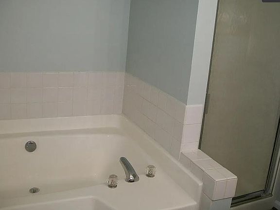 Master bathtub and separate shower