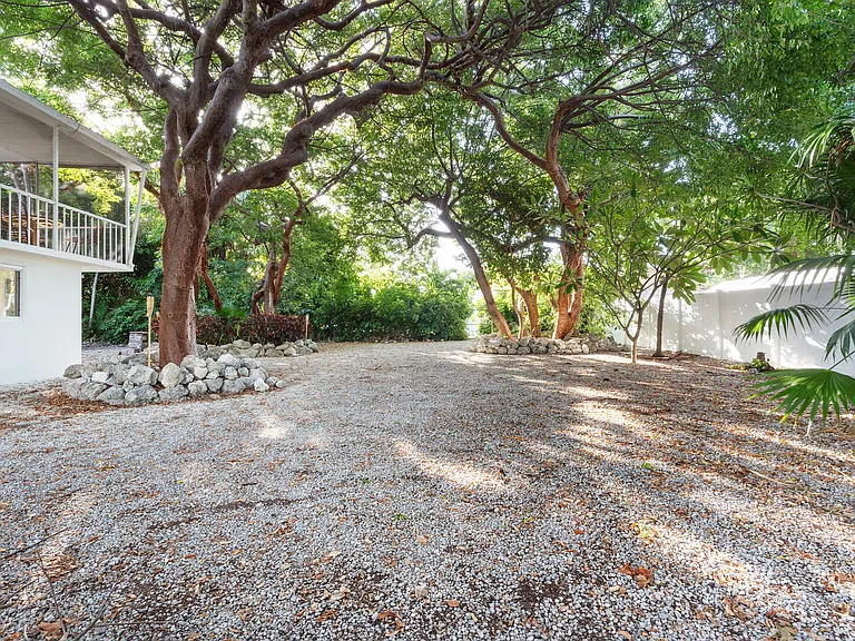 Bougainvillea St — Photo 81