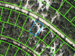 3216 Flatbush Ave, Lake Placid, FL 33852