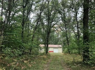 13999 Ruby Ln, Big Rapids, MI 49307