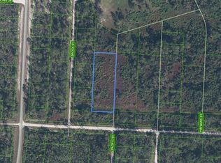810 Pacific St #29, Lake Placid, FL 33852
