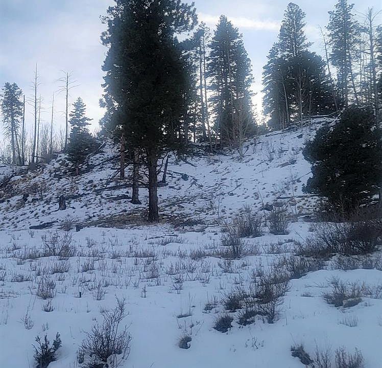 1st image of 2887 Willow Park Drive