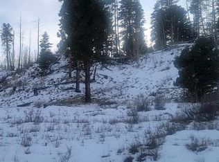 2887 Willow Park Drive, South Fork, CO 81154