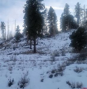 2887 Willow Park Drive, South Fork, CO, 81154