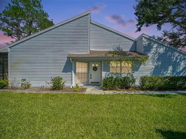 16216 RAMBLING VINE DRIVE W, TAMPA, FL 33624