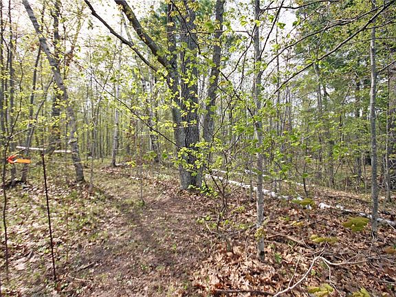 4th image of 0 White Bear Avenue