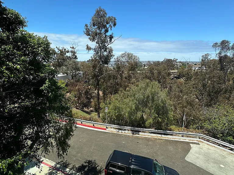 View From Front Living Room Window