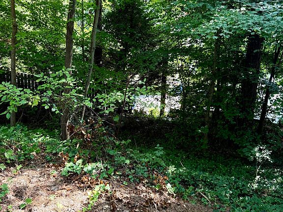 5th image of 0 Brookside Dr Lot 9788146016