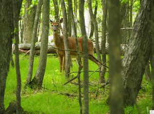 Xxx Beyer Rd, Duluth, MN 55803