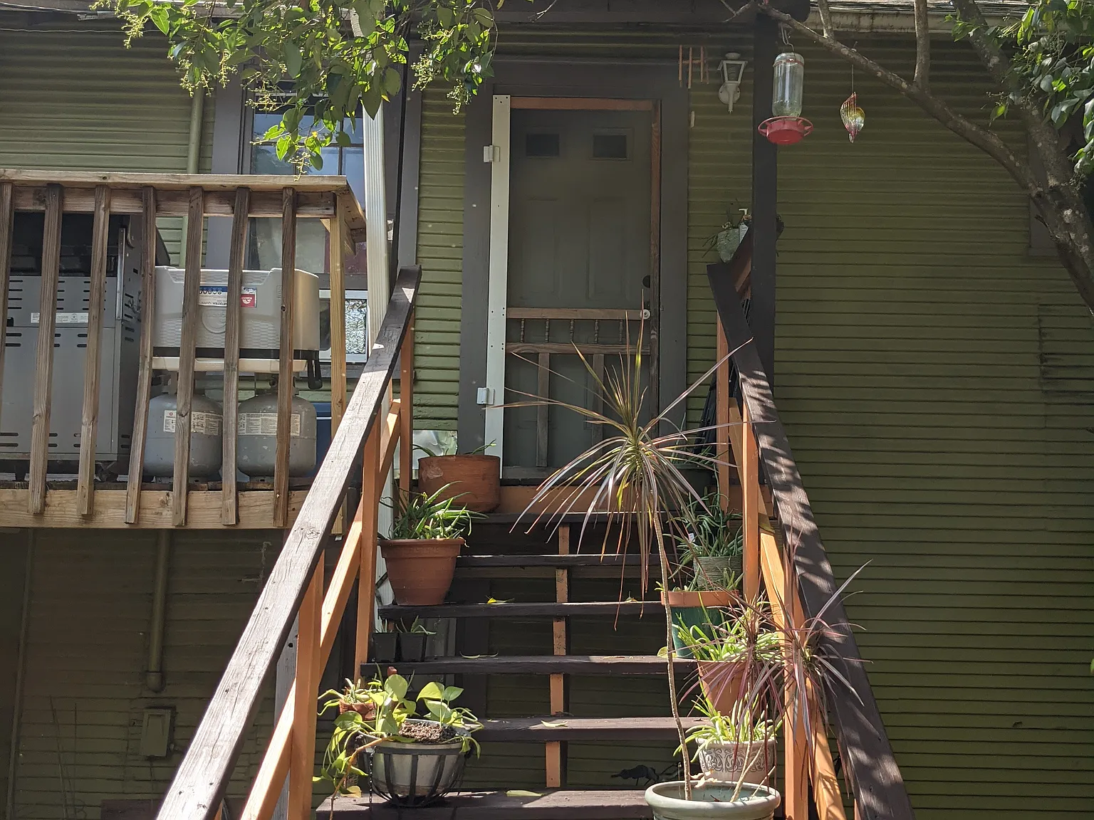 1 bed, 800 sqft, $1,500 — Photo 3