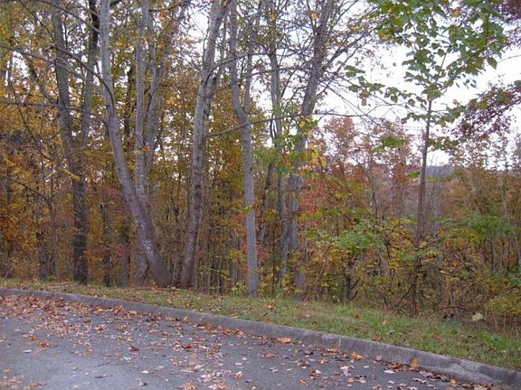 4th image of 2247 Duck Cove Dr