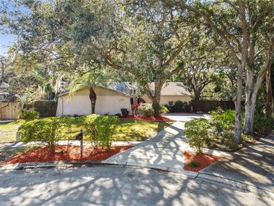 1910 Forest View Dr, Palm Harbor, FL, 34683