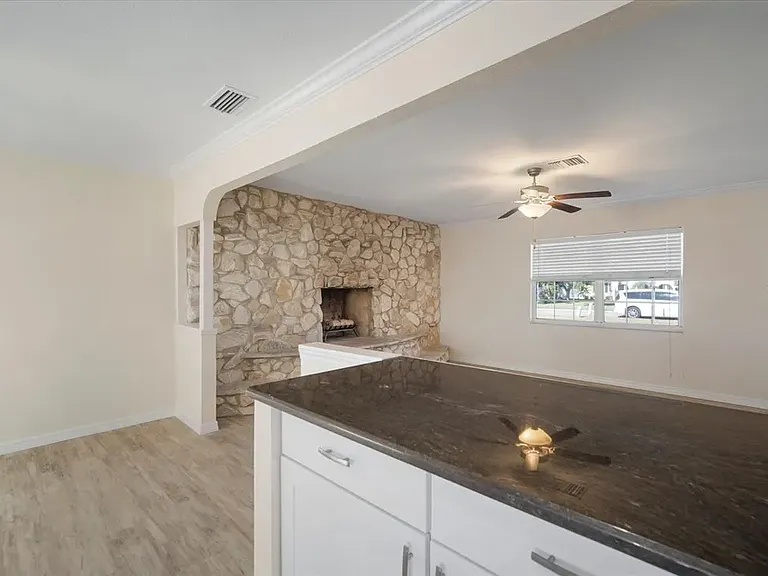 910 Spindle Palm Way — Photo 9