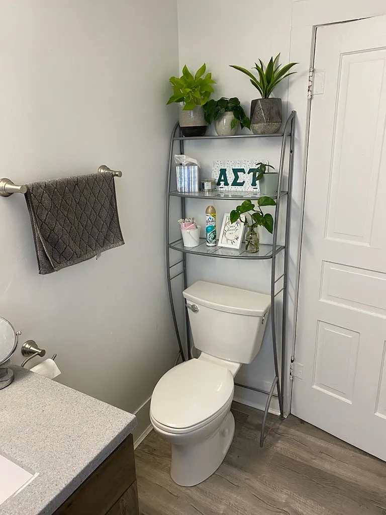2 bed, 800 sqft, $1,400 — Photo 3
